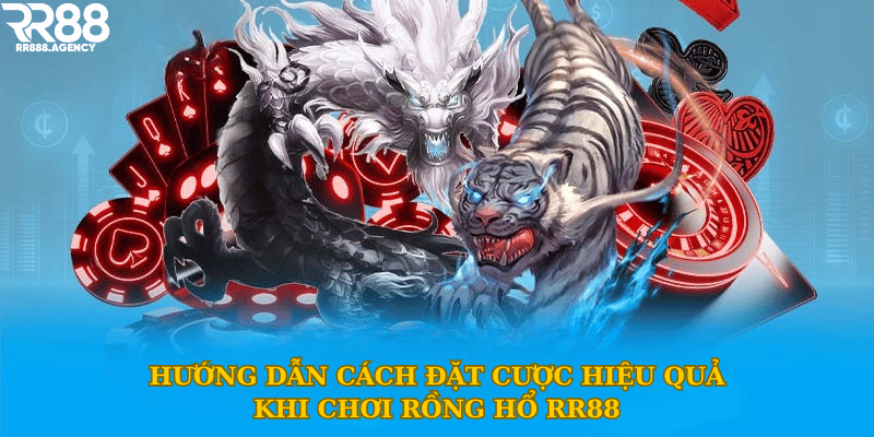 Hướng dẫn cách đặt cược hiệu quả khi chơi rồng hổ RR88