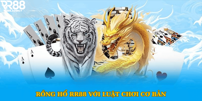 Rồng hổ RR88 với luật chơi cơ 